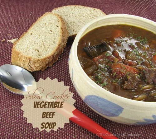 Slow Cooker Vegetable Beef soup