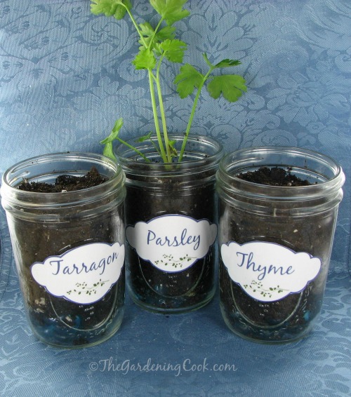 Herb Labels for Mason Jars