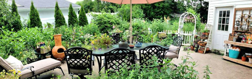 Garden Gossip on Facebook