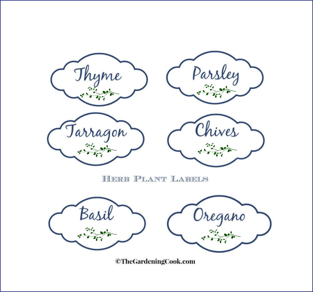 Free Printable Labels for Herb Plants