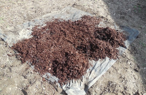 landscape fabric and pine bark controls weeds