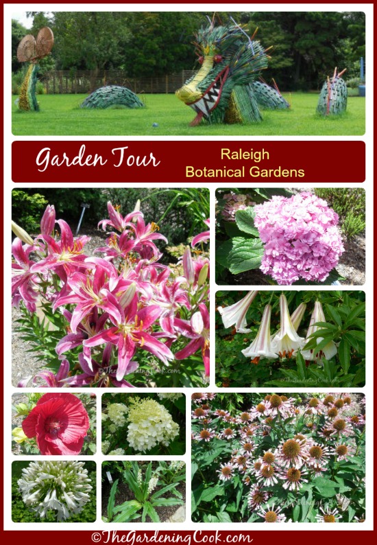 Garden Tour - Raleigh Botanical Gardens