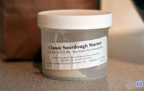 Sour dough starter 