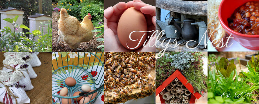 Tillie's Nest on Facebook.