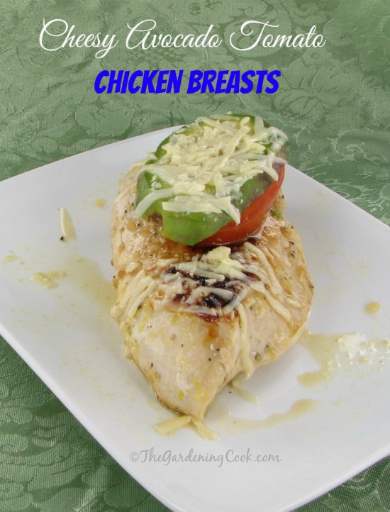 Cheesy Avocado Tomato Chicken Breasts