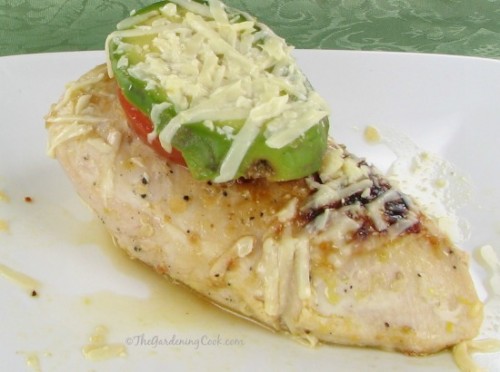Cheesy Avocado Tomato Chicken breasts