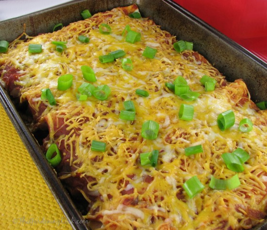 Easy Chicken Enchiladas
