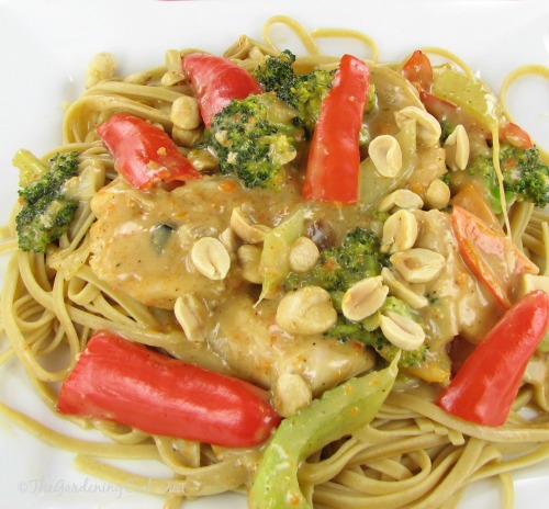 Thai peanut chicken with fresh vegetables