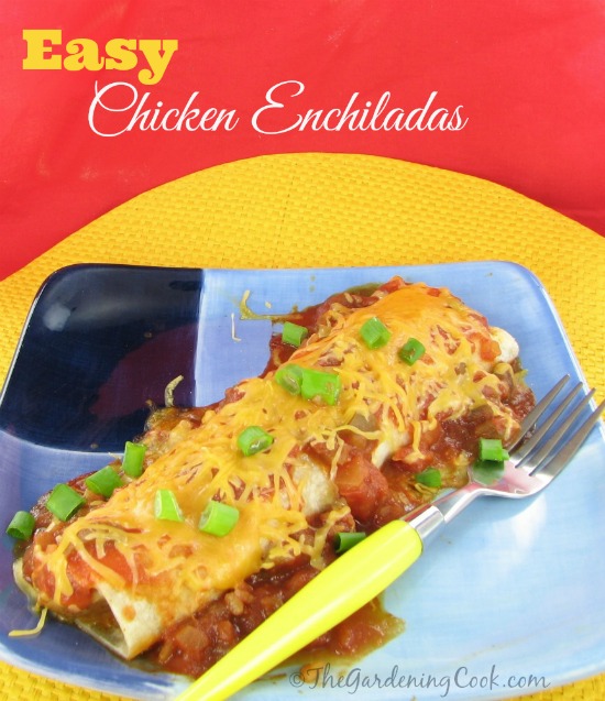Easy and Delicious Chicken Enchiladas