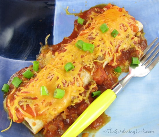 Easy Chicken Enchiladas