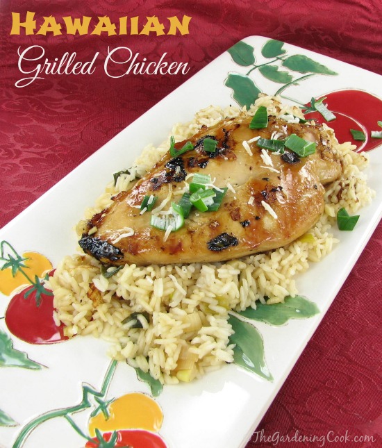 This is one of the most delicious dinners I have made in a long time. Find out how to make this Hawaiian Grilled Chicken with soy and coconut milk. https://staging.thegardeningcook.com/hawaiian-chicken-with-coconut-milk/