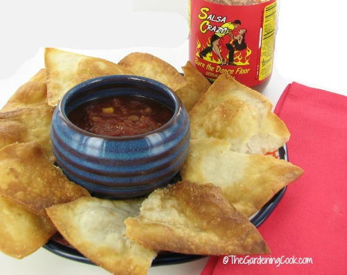 Homemade Tortilla Chips And Salsa
