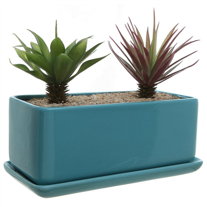 Minimalist succulent planter