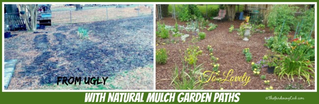 From an ugly eyesore to a lovely garden with natural mulch garden paths. Find out how to do them at https://staging.thegardeningcook.com/natural-paths-garden-beds/