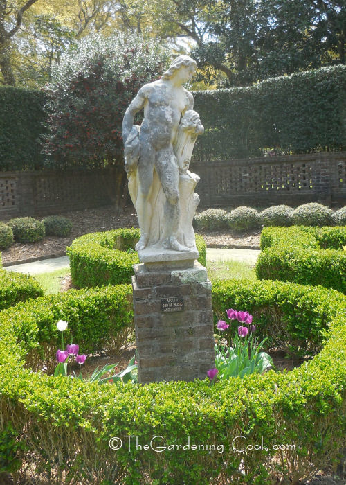 Apollo - God of Music and Poetry