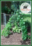 How To Make An Easy DIY Bean Teepee