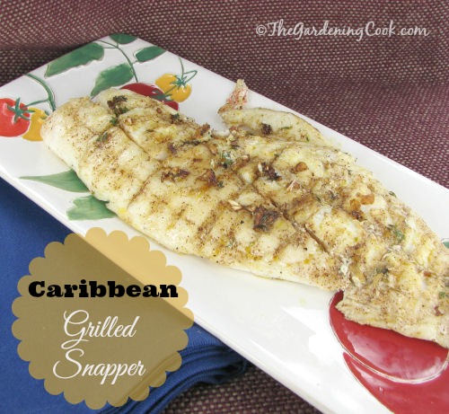 Caribbean Snapper with grilled pineapple. 