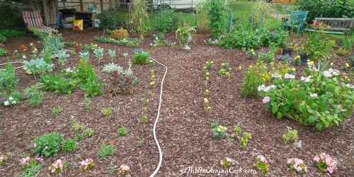 Center pathway to my garden bed