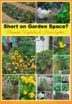 The Garden Charmers Combine Perennials and Vegetables