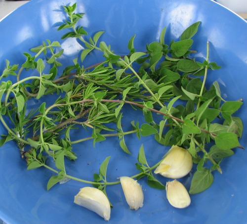 garlic, fresh rosemary and fresh oregano