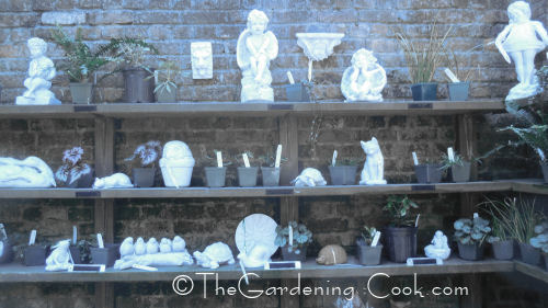 Gift shop Elizabethan Gardens - Manteo NC