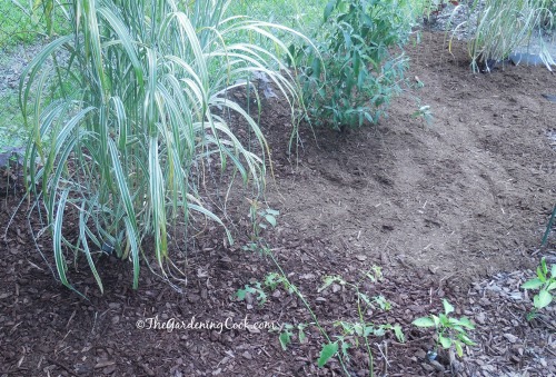 A layer of pine mulch and then bark mulch finishes the job.