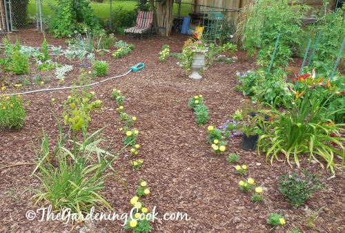 Paths lead to a seating area