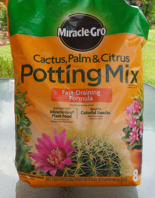 Miracle Grow cactus, palm and citrus potting mix is perfect for succulents.
