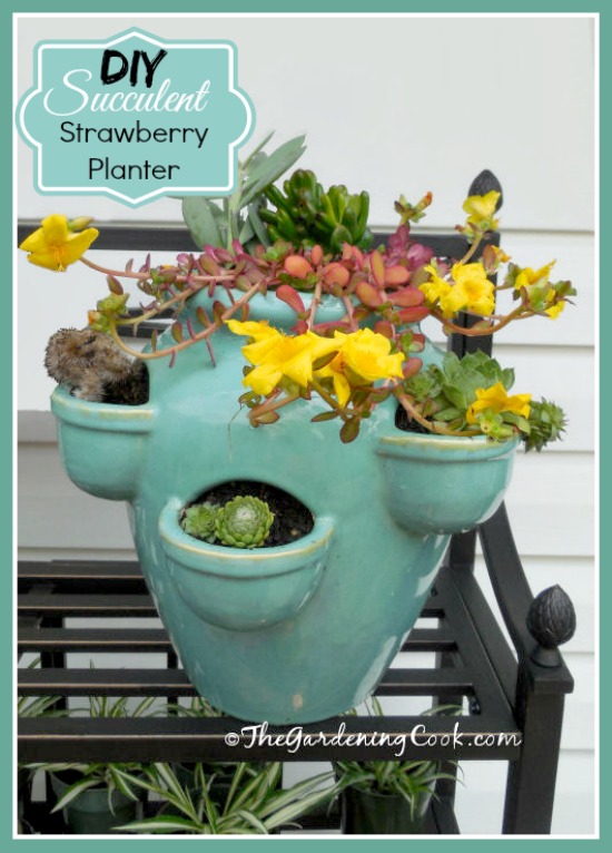 Step by step tutorial. This Succulent strawberry planter has small openings that are the perfect size for cacti and succulents.