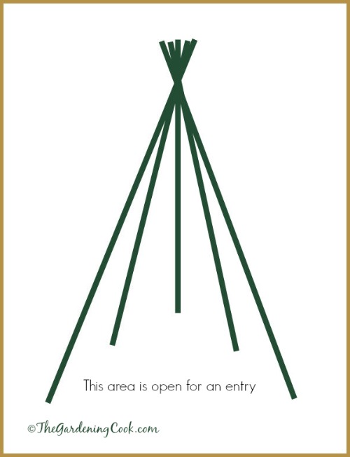 Shape of the bean teepee