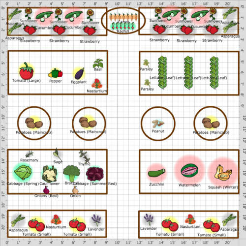 A vegetable garden plot that uses annuals, perennial herbs and vegetables for companion planting from http://magictouchandhergardens.wordpress.com