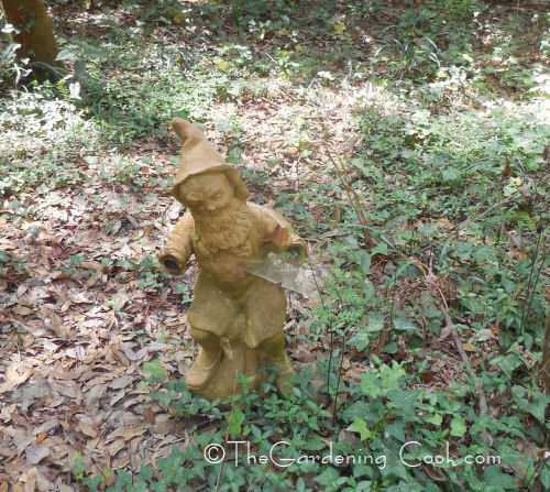 Wood Gnome Statue