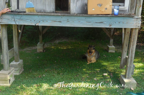 Shady spot under the playhouse
