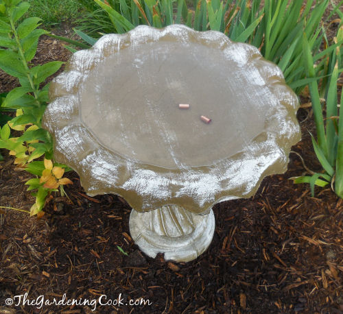 Bird bath still clean a week later