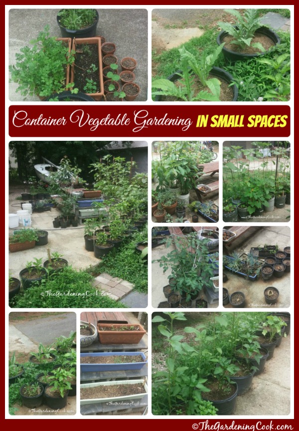 If you don't have space in your yard for a big vegetable garden, you can still grow veggies. Try container vegetable gardens. See how to do this at thegardeningcook.com/container-vegetable-gardening