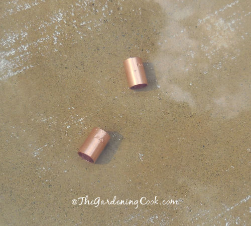 copper pipe keeps a bird bath clean