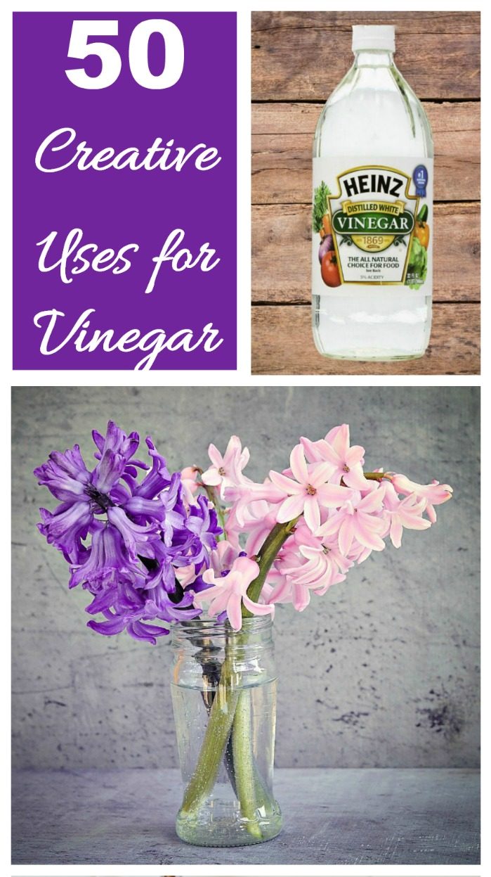 50+ creative vinegar uses for the home and garden