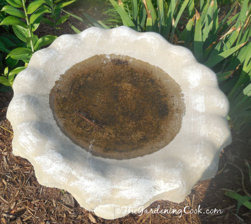 Dirty bird bath really needs a clean