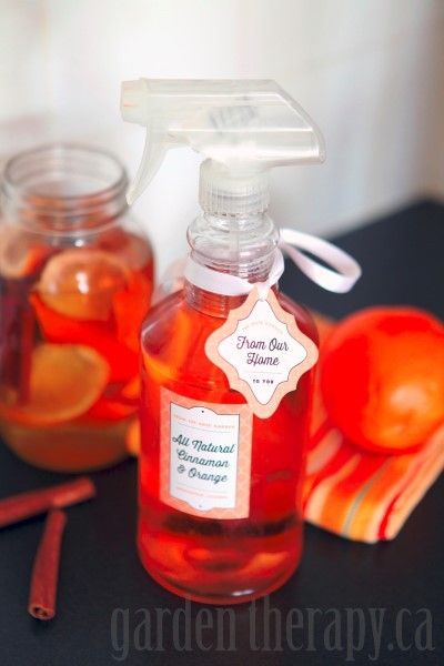 DIY cleaner with cinnamon, vinegar and orange.