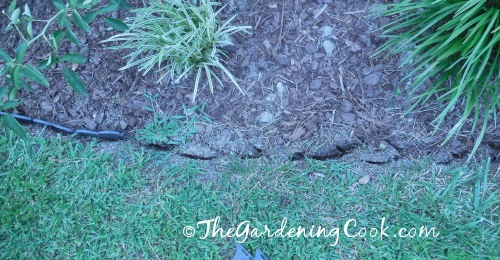 edging keeps the weeds out.