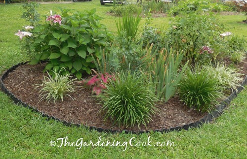 This part of the edging shows the widest part of the border
