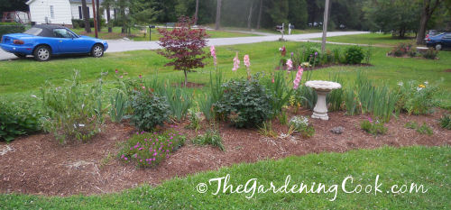 Front garden bed with Silver grass removed