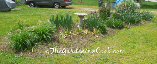 View from the back side of the garden bed