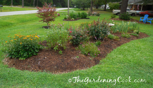 Front garden border after weeding, transplanting and edging.