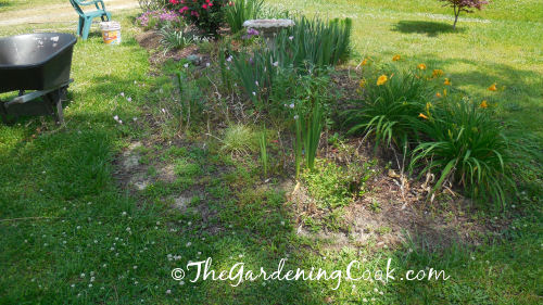 Front garden bed before weeding
