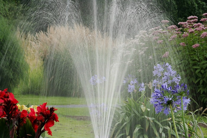 Take care not to overwater lawns as this can attract ticks