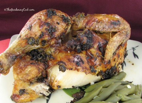 Herbed Mediterranean Chicken