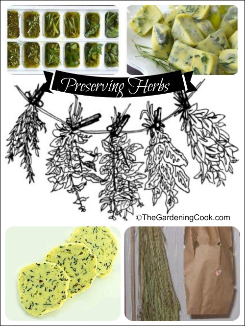 Freeze fresh herbs for cooking in the winter