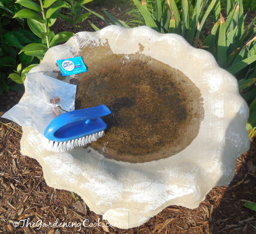 Alka Seltzer tablet, copper pipe and scrubbing brush are the tools to a clean bird bath