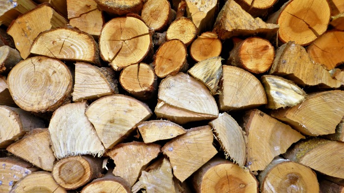How to kill ticks yard by keeping your wood piles tidy